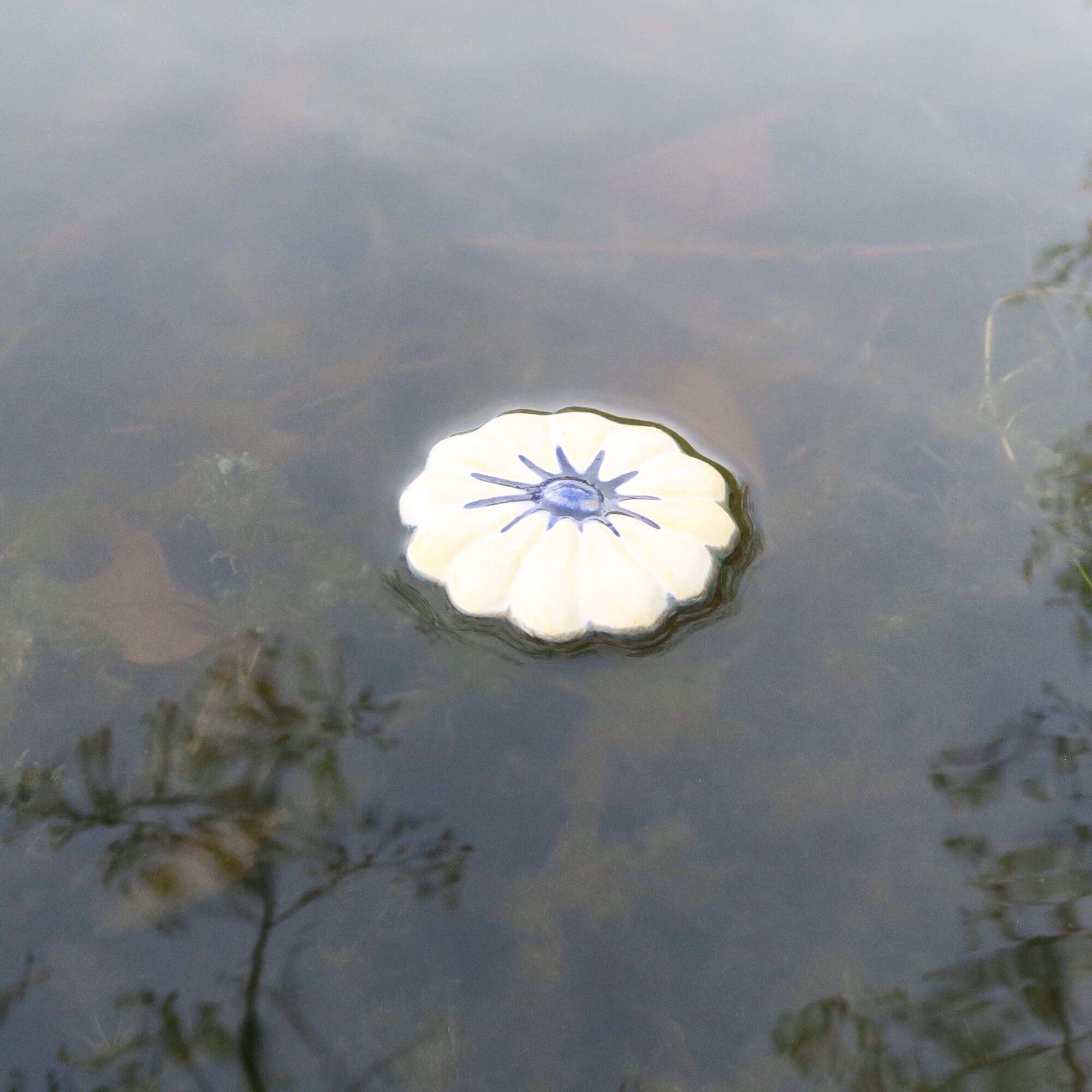 Alternative view of Schwimm-Blumen für den Gartenteich - Weiß-Blau