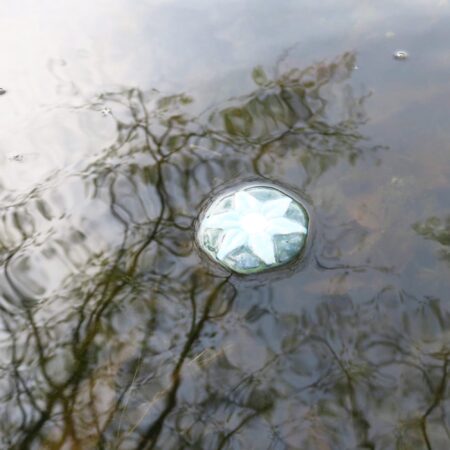 Alternative view of Schwimm-Blumen für den Gartenteich - Grün-Blau