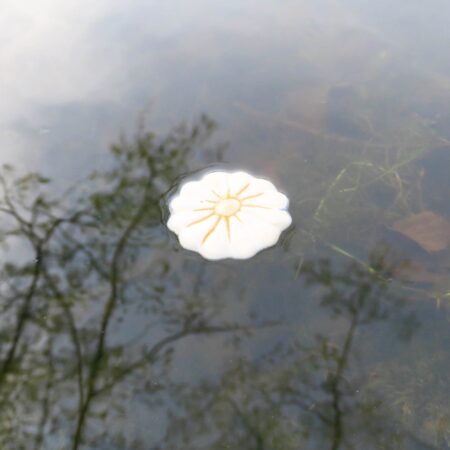 Alternative view of Schwimm-Blumen für den Gartenteich - Weiß-Orange