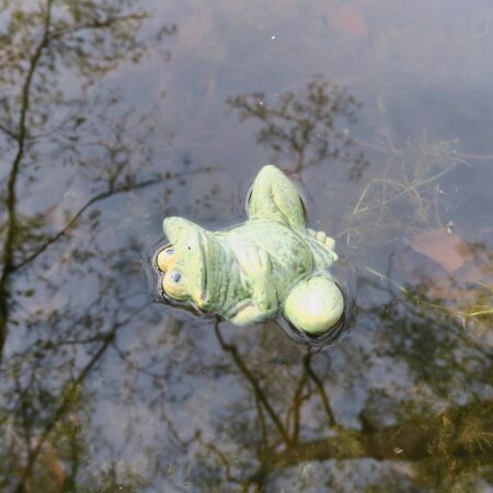 Entspannter Keramik Frosch für den Gartenteich – Bild 4